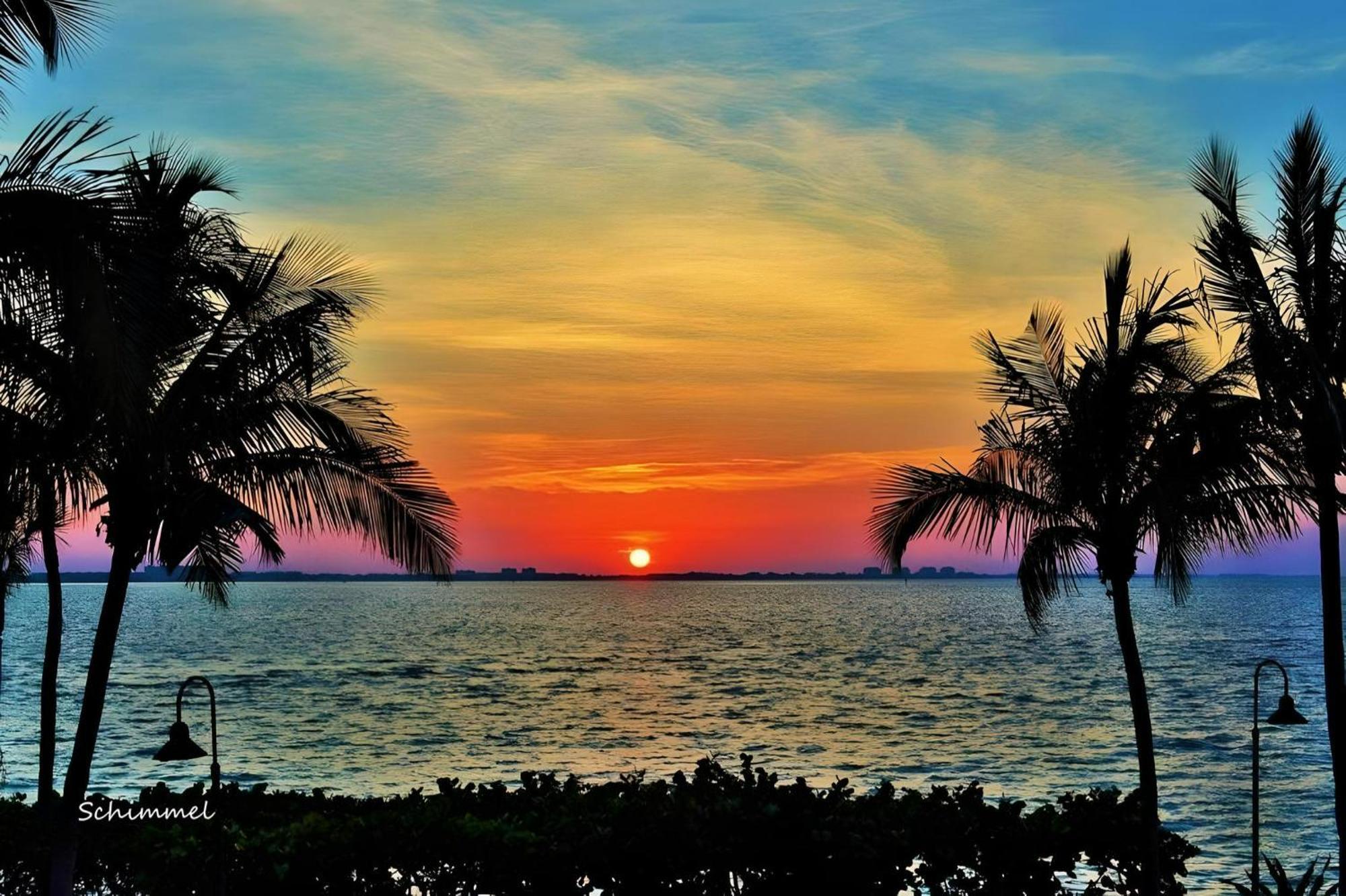 Heated Pool Just 1.7 Mi To Beach The Ocean Pearl Sarasota Ngoại thất bức ảnh